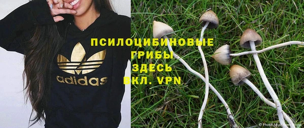 твердый Алексеевка
