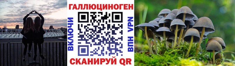 Галлюциногенные грибы Cubensis  Пролетарск 